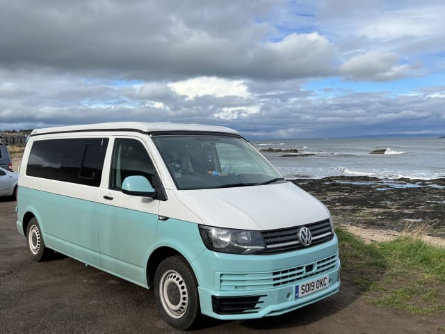 Annie – Camper Volkswagen T6 COMPLETAMENTE ATTREZZATO 2019!