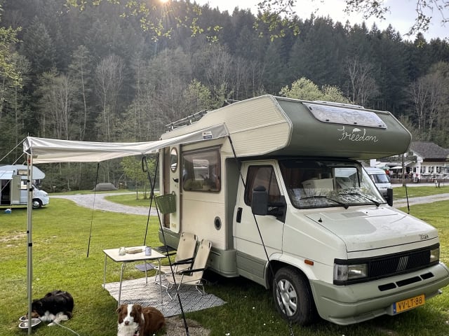 FREEDOM – Trendiger Fiat Camper für 3 Personen