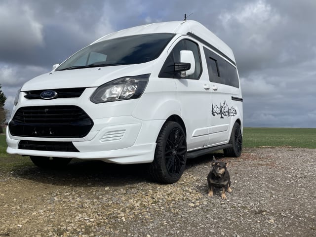 Penelope's Tourer II – Ford camper met 2 slaapplaatsen uit 2015