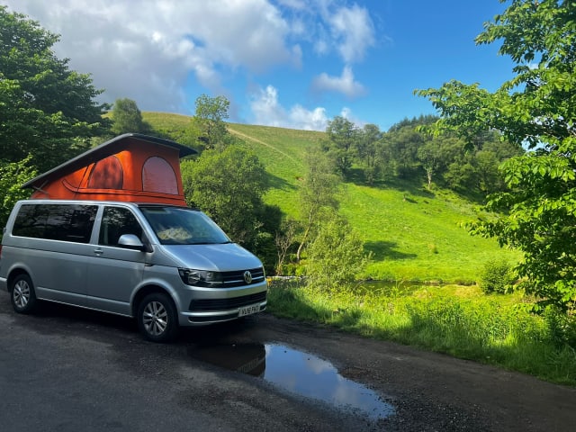 Bilbo – Camping-car Volkswagen 4 couchages de 2018