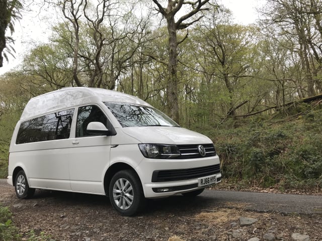 Alpina – T6 Camper pronto per le tue avventure