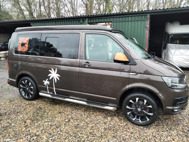 Vinnie – 4-persoons Volkswagen campervan uit 2015