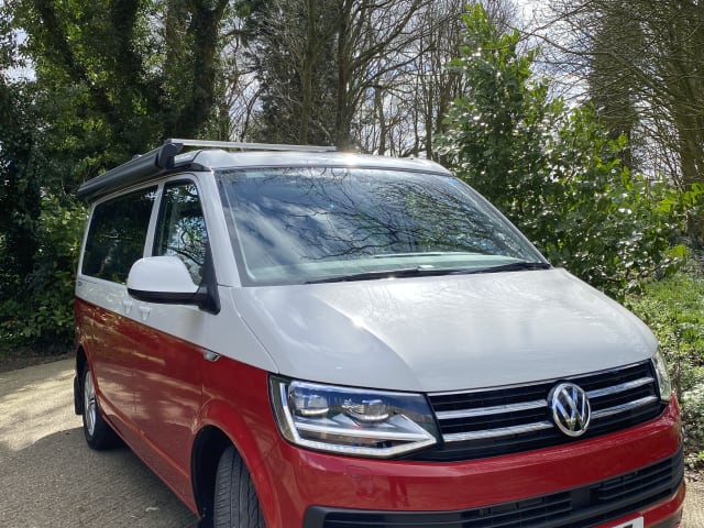 Bertie – Trek de aandacht met de originele VW Cali!! 2019