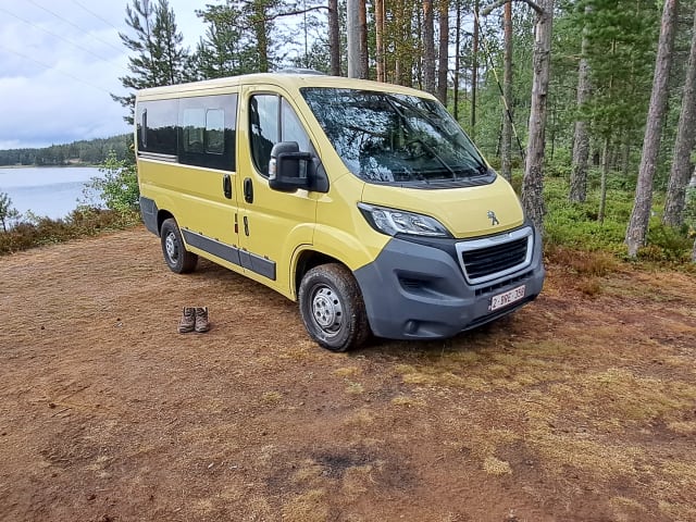 Peugeot Boxer (camper conversion)