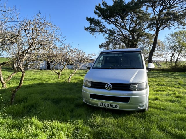 Daphne – 4 berth Volkswagen campervan, clean and tidy