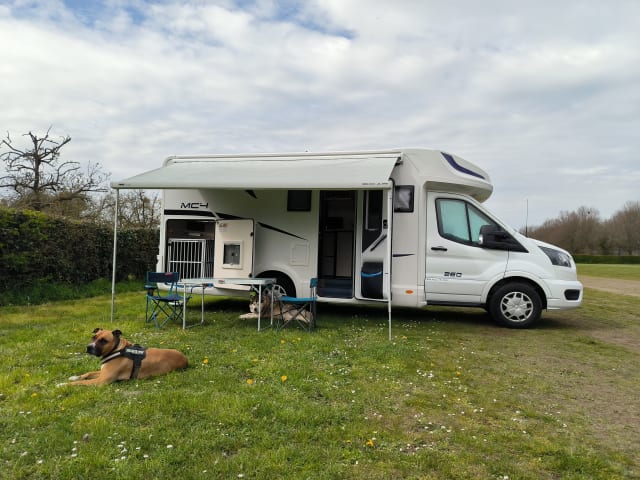 Louise – Avec ou sans chiens... partout à la maison sur la route