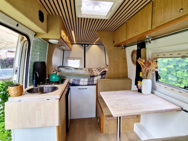 Vino – Vino de Van 3p Volkswagen campervan