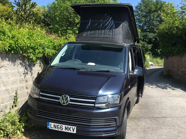 Darcey VW T5 North Devon 