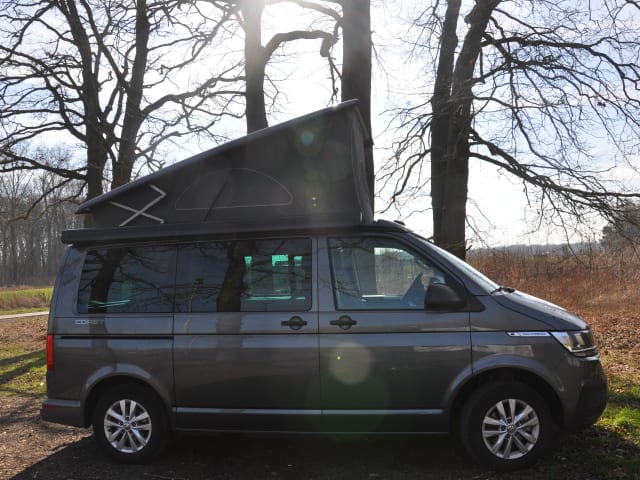VW California  T6.1 Coast uit 2025 