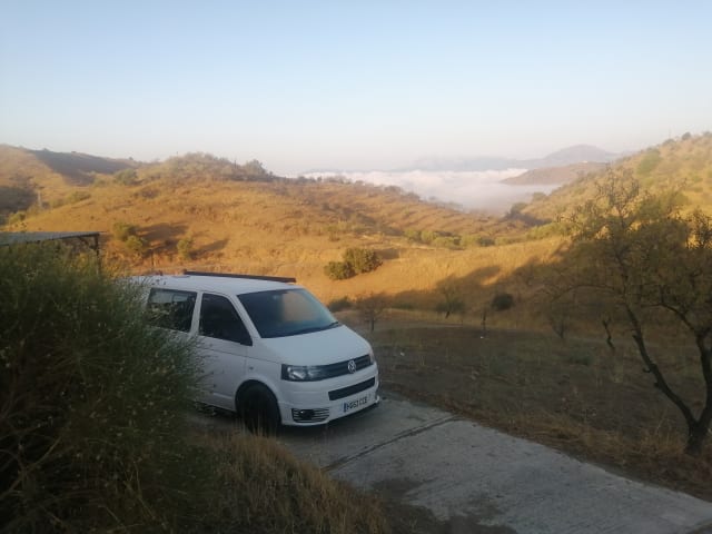 Cee Cee – 2 berth Volkswagen campervan from 2016