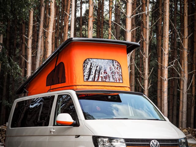 Wilbur – Einzigartige VW T6 Campervan Vollkaskoversicherung inkl.