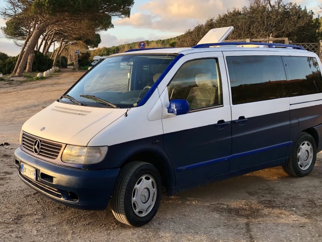 Dani – Bestelwagen Mercedes Vito 220cdi