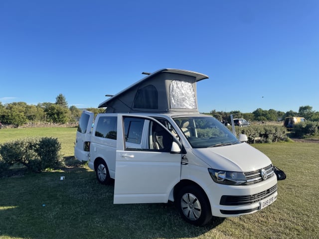 Quicksilver  – White VW T6 Four Berth. 