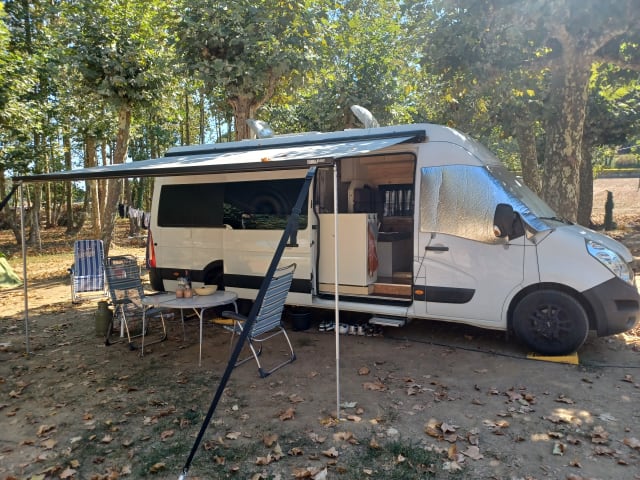Buscamper – 2-Personen-Renault-Bus aus dem Jahr 2019