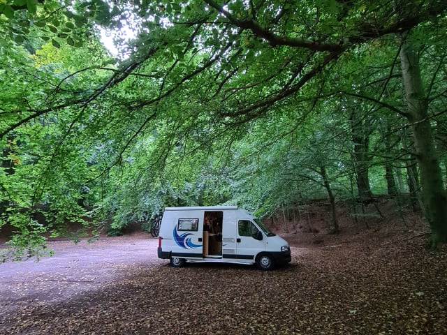 Jimmy – 2p Fiat bus from 2006