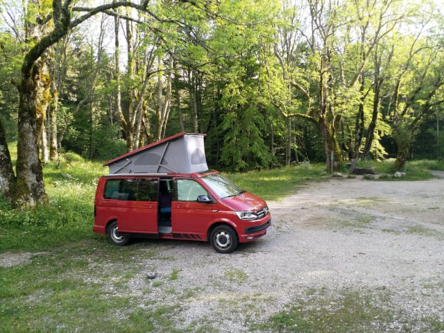 Calif – Volkswagen California Cost Edition Verhuur