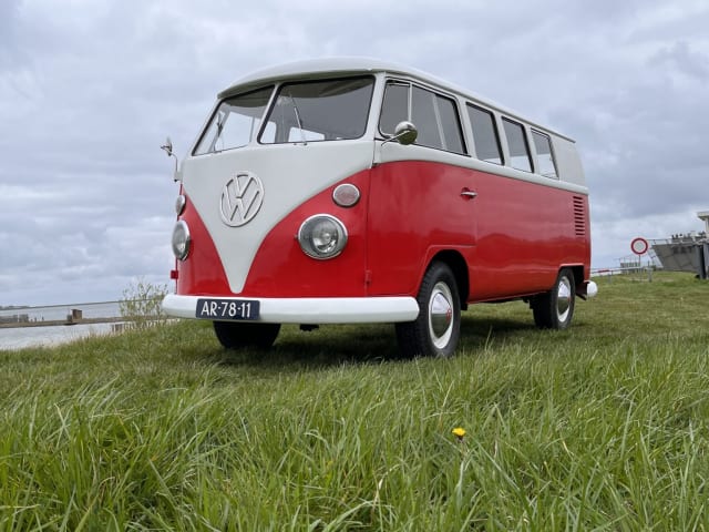 Kobus – Volkswagen T1