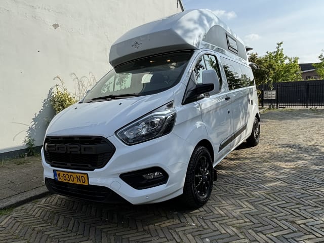 3er Ford Nugget Hoogdak aus 2019 / nur Freunde & Familie