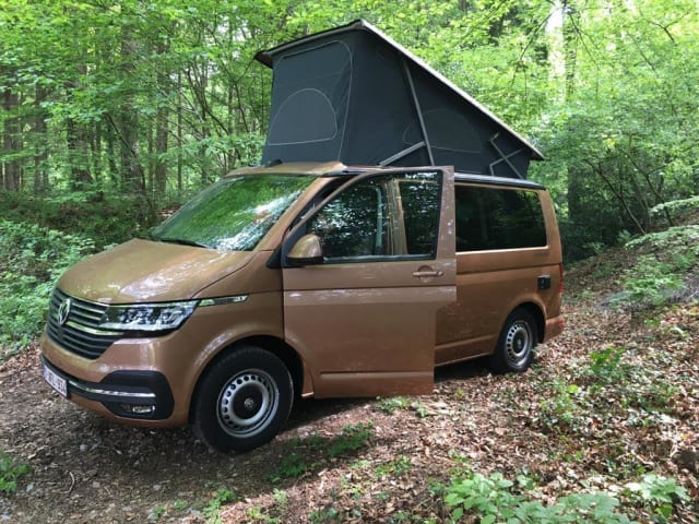 ROSIE – Volkswagen California 2022