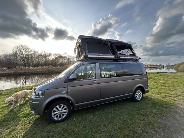 Rooftop party Van  – Happy 4 person Volkswagen party Van. 