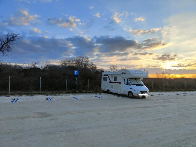 Familiencamper