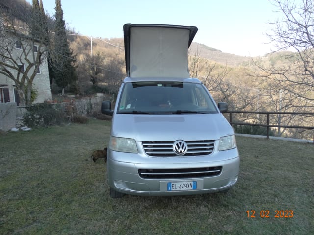 WOLLY – VOLKSWAGEN T5 CALIFORNIË WESTFALIA