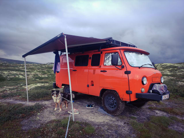 Bukhi – 2p Andere Wohnmobile ab 2022