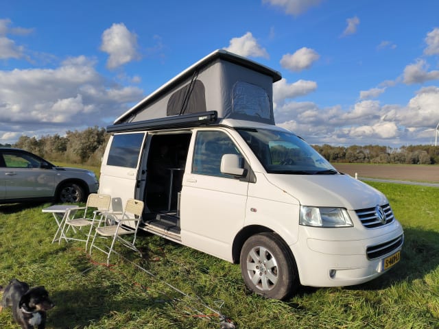 Liv – 2p Volkswagen campervan uit 2009