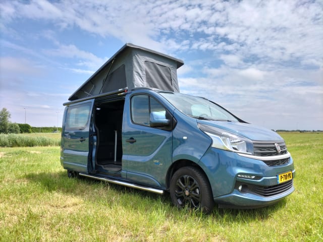 Fiat Talento bus camper