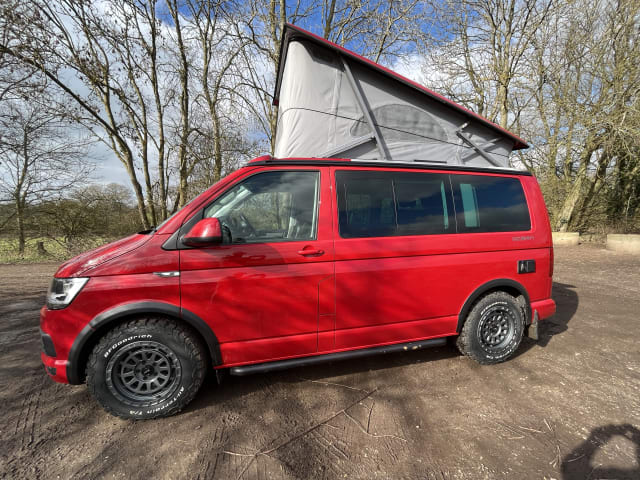 VW California staat voor u klaar!