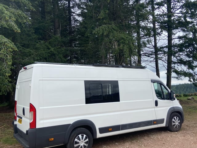 White Shark  – Wild Camper