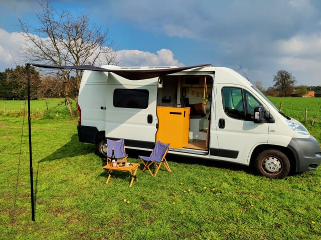 Groot – 🚐 Völlig netzunabhängig und mit allem Luxus ausgestattet! 🏕️