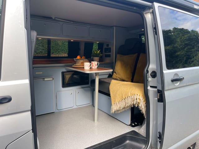 Silver Monte Carlo VW 2021 T6.1, solar panels & awning, sleeps 4