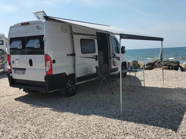 Amusanté – 2p Fiat bus uit 2021 Automaat