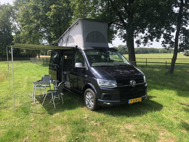 Luxus 4WD VW California (2019)