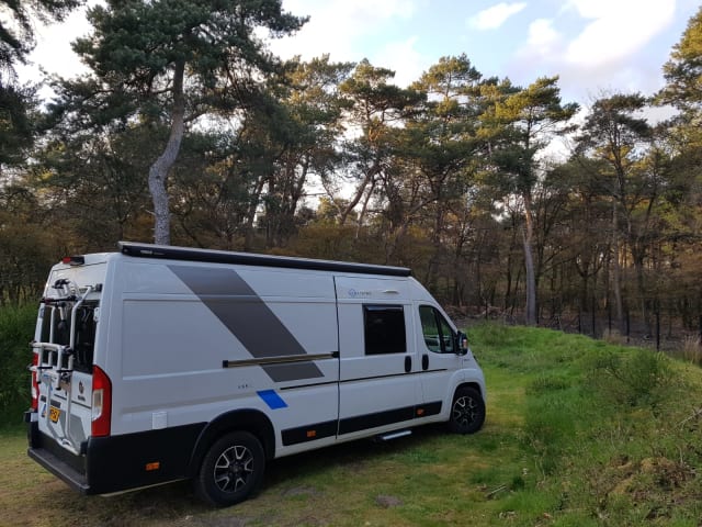 Sunliving Bus Camper mit Busbiker