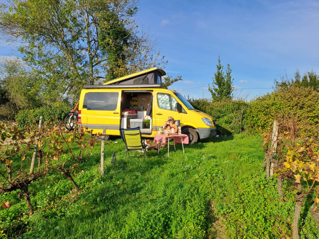 Lange mensen bus, Yello Submarine