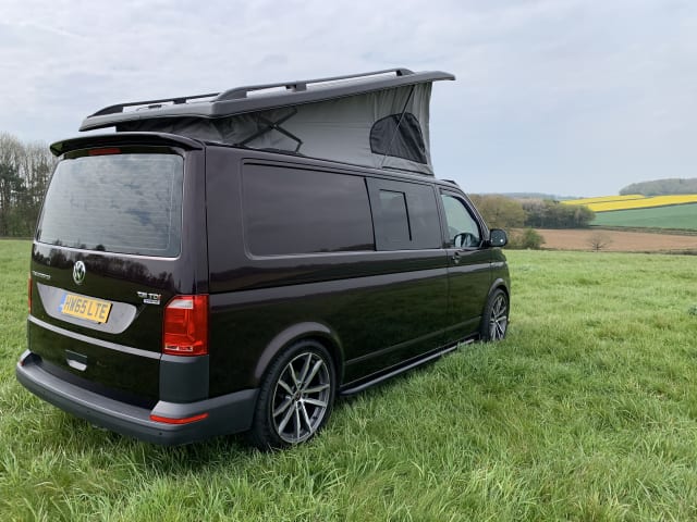 VW T6 LWB Camping-car adapté aux familles et aux chiens