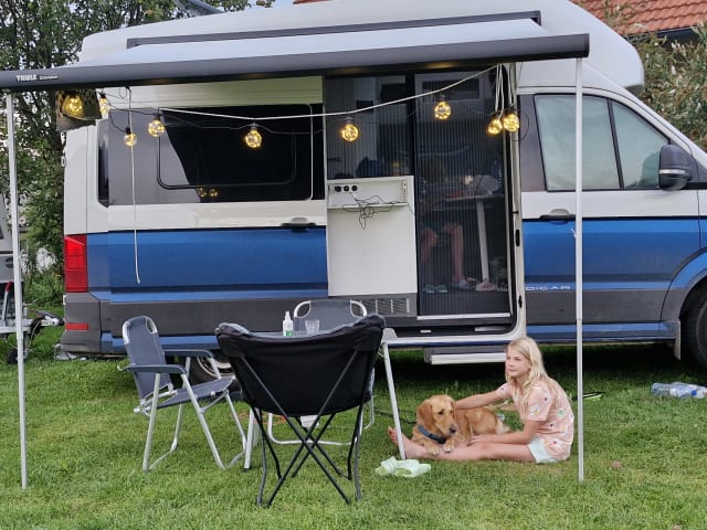 Blue Horizon – 4-Sitzer Volkswagen-Bus ab 2023