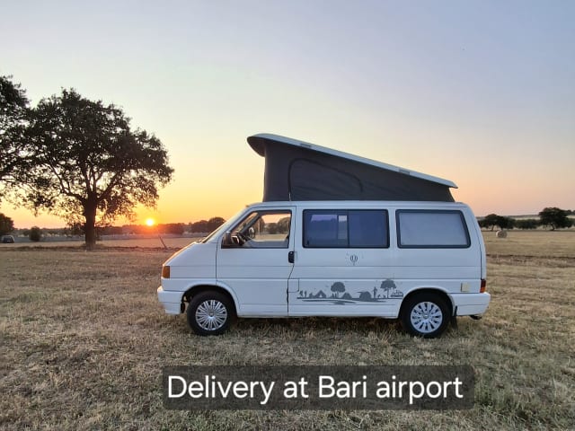 Calì  – Salento in a T4 California Coach van