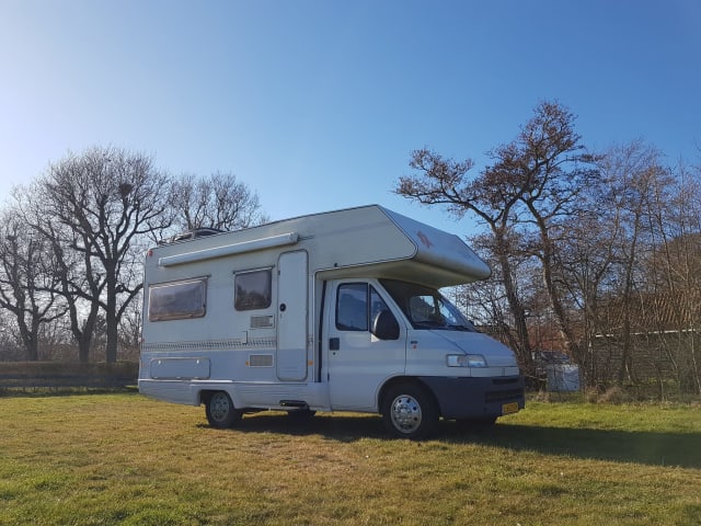 5p Fiat Alcove - schöner Familiencamper