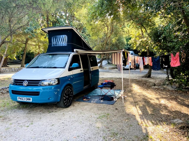 Elsie – Elsie- Bellissimo camper Volkswagen- 4 posti letto