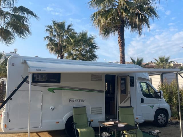 4p Fiat Teilintegrierter ab 2020