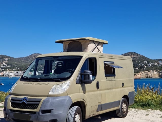 Palmtree – Spaceious Citroën Jumper