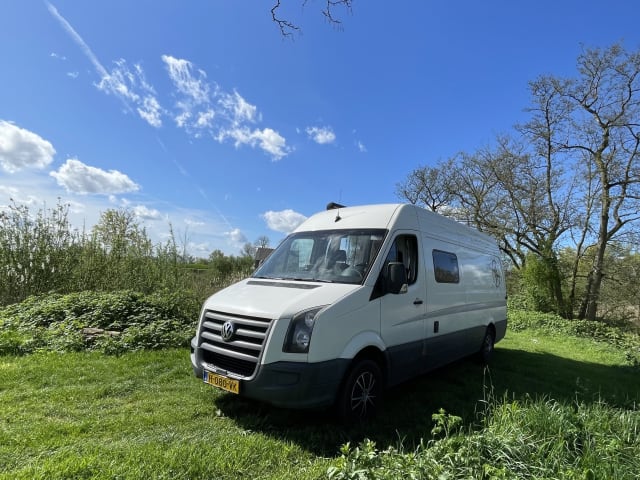 Ollie – 2p Volkswagen bus from 2010