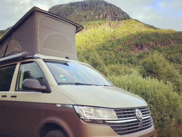 CALI Brown Grey – Volkswagen California COAST Braun/AscotGrau (2021)