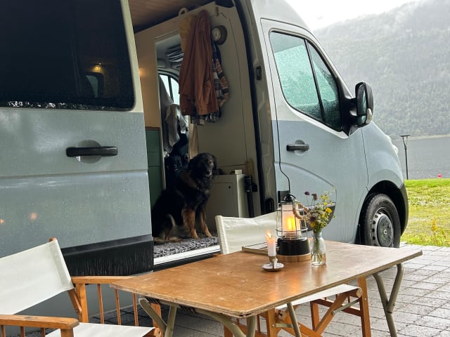 WoodenCabin on Wheels – 3p Renault campervan uit 2025