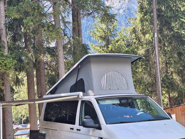 Vivi la libertà con questo Volkswagen Transporter (4 posti)