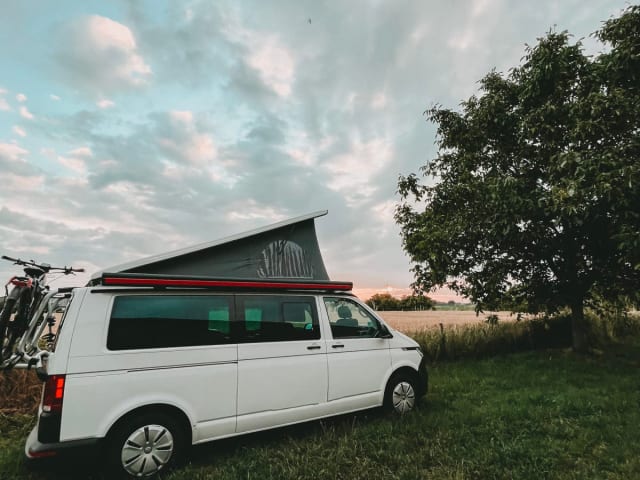 Bärbelche – VW T6.1 – Der Wohlfühl-Camper mit viel Platz und Solar!