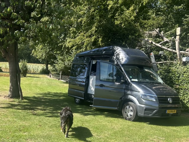 4 PERSON AUTOMATIC Volkswagen campervan from 2023